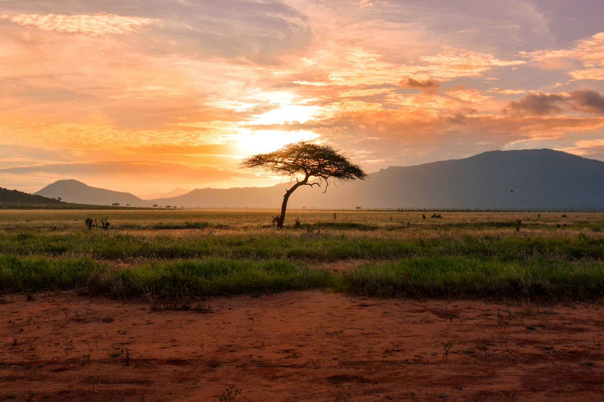 Kenya coast