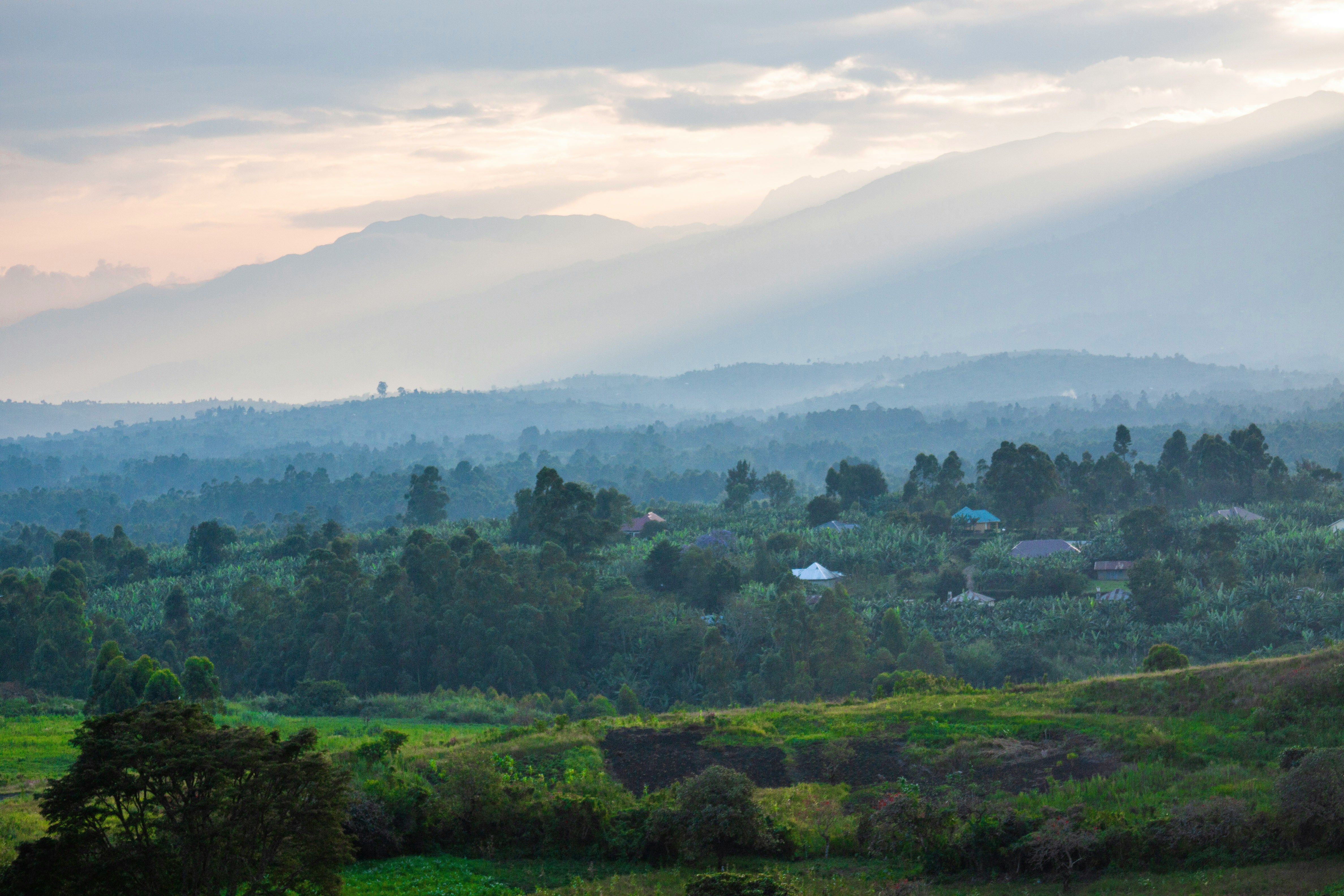 Uganda mountains