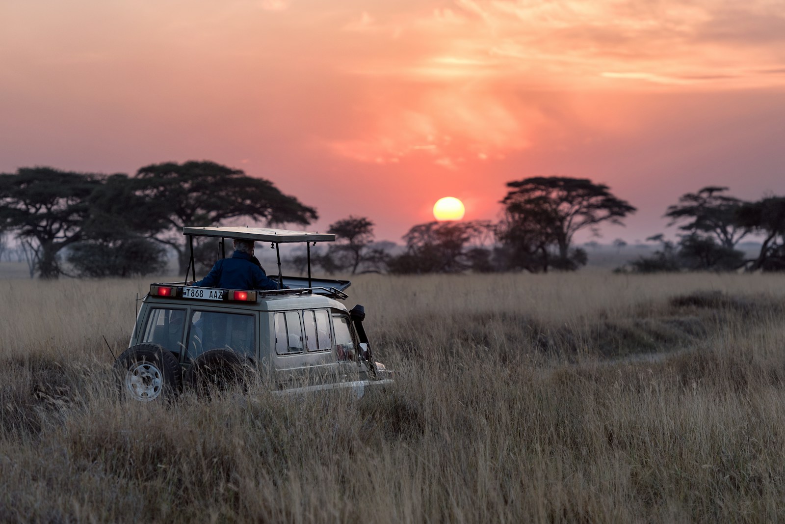 About — Duiker & Dune founders in the East African savanna